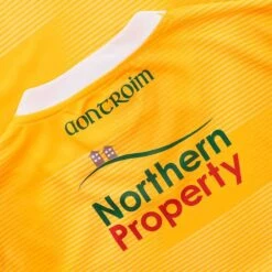 Antrim GAA Women's Fit Home Jersey 2023 17 Antrim GAA Women's Fit Home Jersey 2023 -Puma Shop antrim home jersey 3s amb whi adlt p6 3