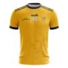 Central Coast 40th Anniversary Short Sleeve Training Top (Amber) 1 Central Coast 40th Anniversary Short Sleeve Training Top (Amber) -Puma Shop central coast gaa training jersey v5 amb 3d 1 2