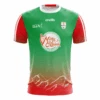 Clann Na HOman Women's Fit LGFA Jersey (Green) -Puma Shop clannnahoman 3d lgfa jersey green front