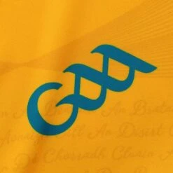 Clare GAA Women's Fit Home Jersey 2023 -Puma Shop clare home jersey amber roy wht 3s p 5 3 1