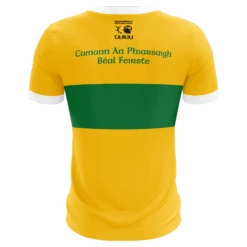 Cumann An Phiarsaigh Home Keeper Jersey -Puma Shop cumannanphiarsaigh 3d jersey gk back 2