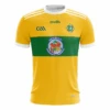 Cumann An Phiarsaigh Home Keeper Jersey -Puma Shop cumannanphiarsaigh 3d jersey gk front 2