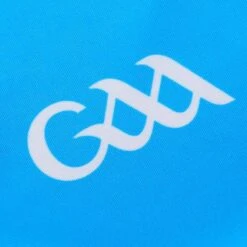 Dublin GAA Player Fit Home Jersey 2023 -Puma Shop dublin home jersey tf 3s sky mne whi adlt p6