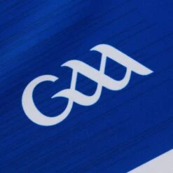 Laois GAA Women's Fit Home Jersey 2023 -Puma Shop laois home jersey 3s roy whi p9 3