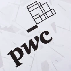 PwC All-Stars GAA Jersey White -Puma Shop pwc allstars tf 3s whi org adlt p4